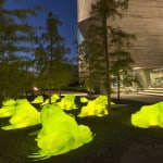 Le rane fluorescenti al Science Park.