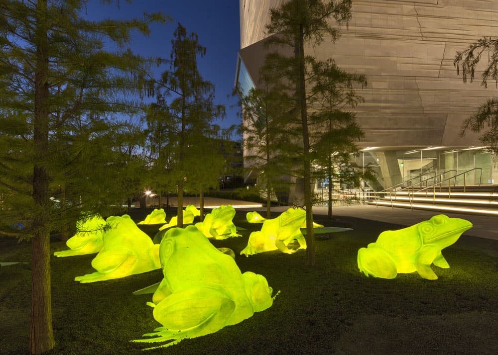 Le rane fluorescenti al Science Park.