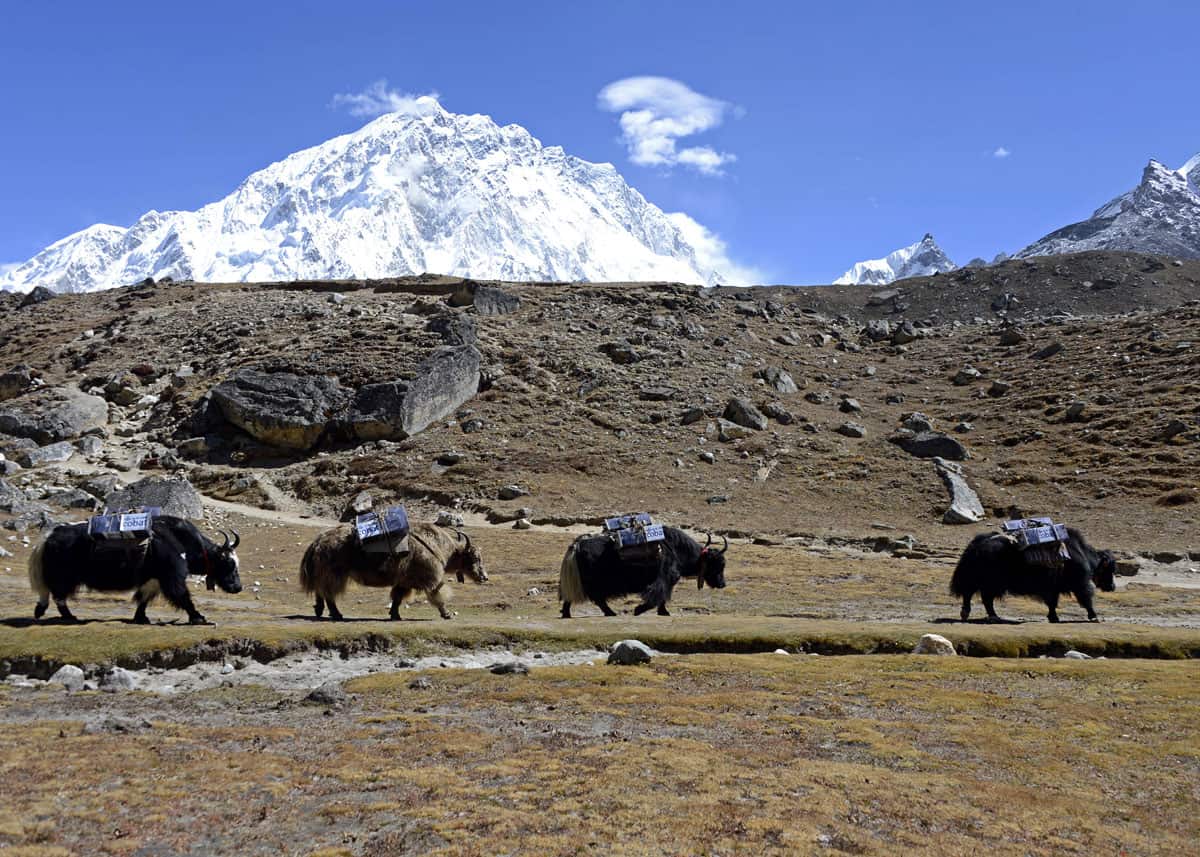 Mostra Nepal Milano