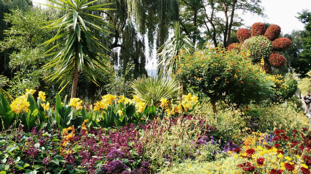 Isola di Mainau, il grande fiore all'ingresso.