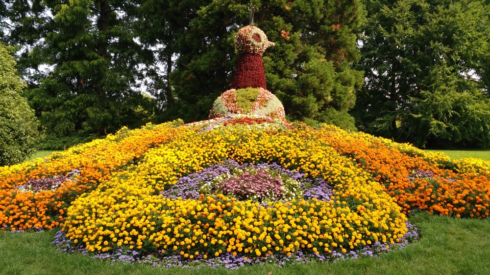 animale di fiori isola di mainau lago di costanza