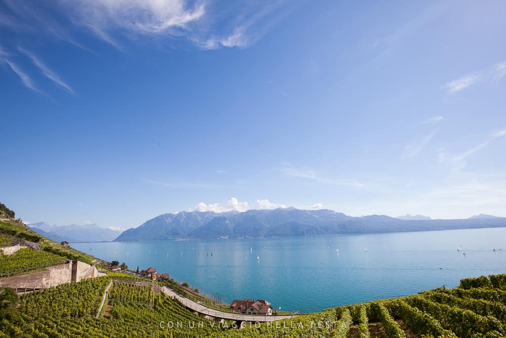 cosa vedere a Losanna lago e vigneti