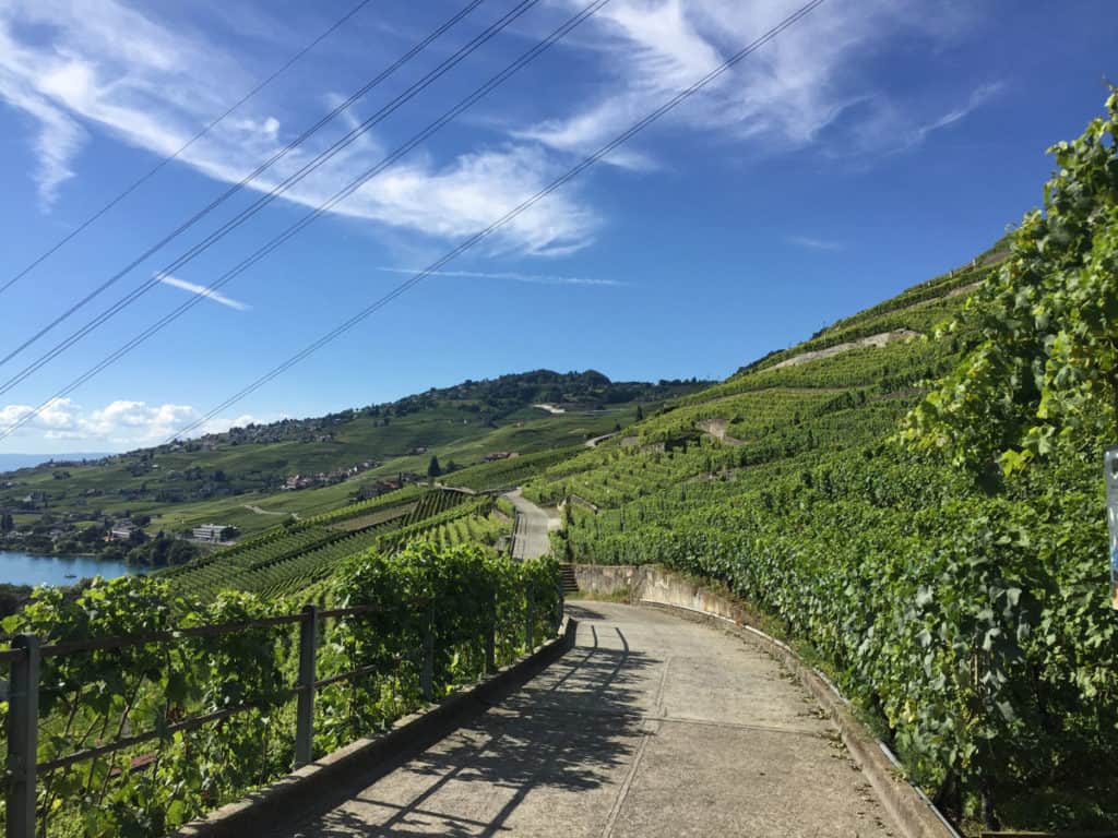 La strada che percorre il Lavaux Express