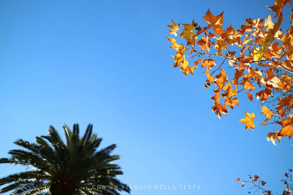 Autunno a Saint Honorat