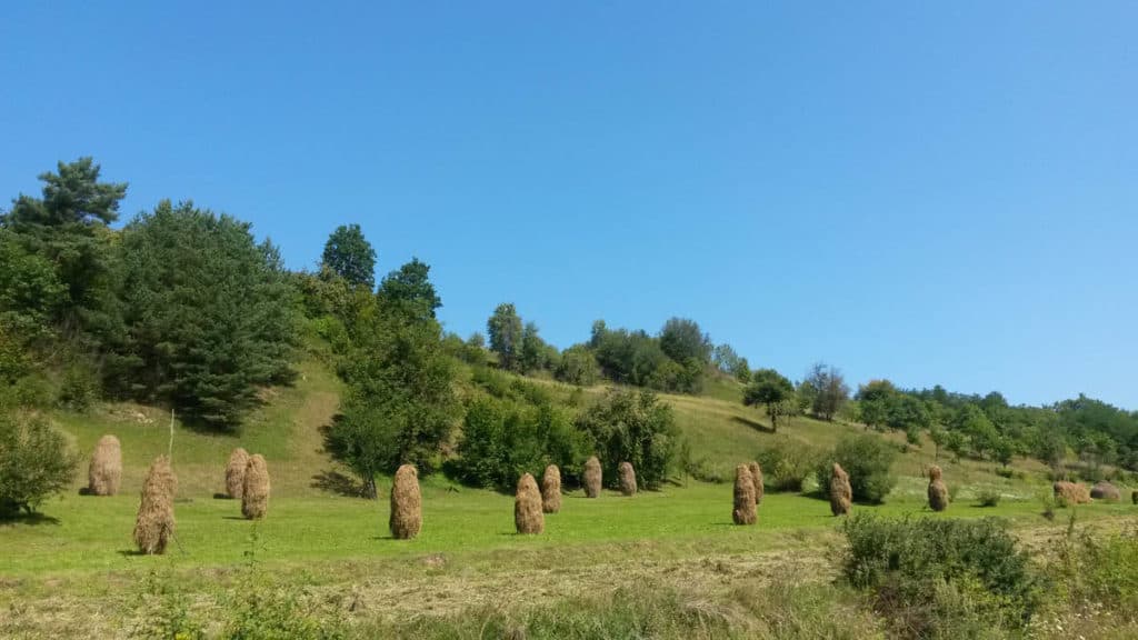 Paesaggio campestre del Maramures, regione a nord della Romania