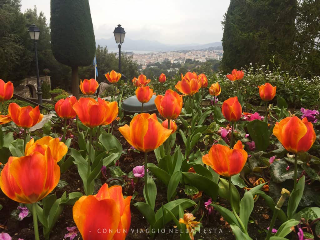 Un dettaglio del giardino di Villa Domergue