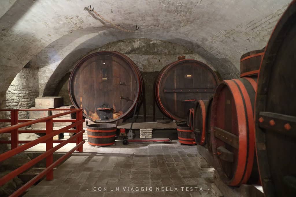 Museo di Storia della Mezzadria Senigallia cantine