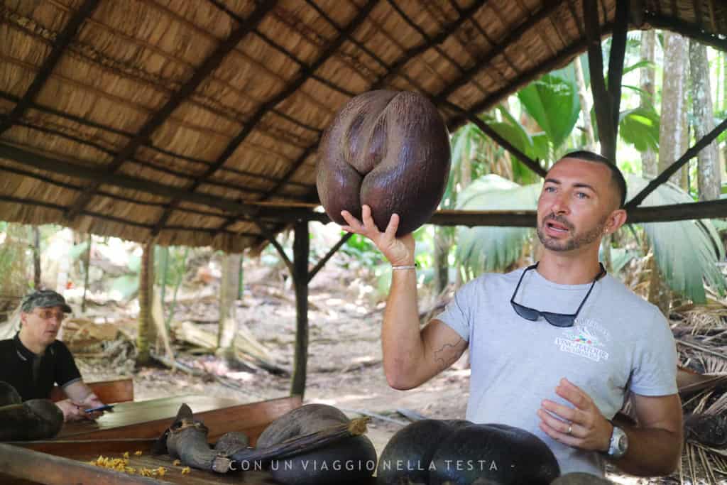 Cosa vedere a Praslin: La Valee de Mai