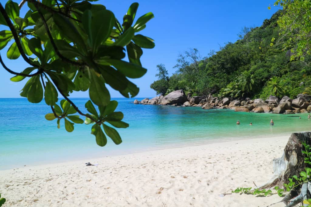 cosa vedere a praslin: Anse Georgette