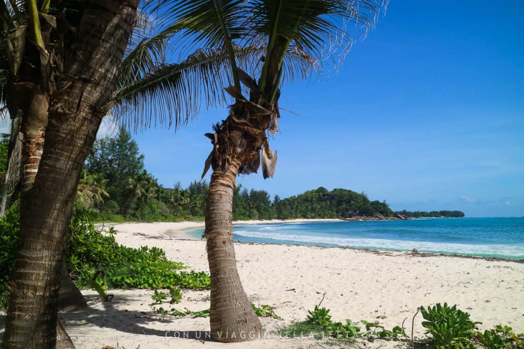 Anse Georgette cosa vedere a praslin