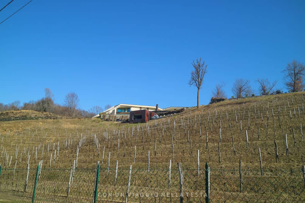Cantina Gori è completamente integrata al paesaggio delle colline friulane