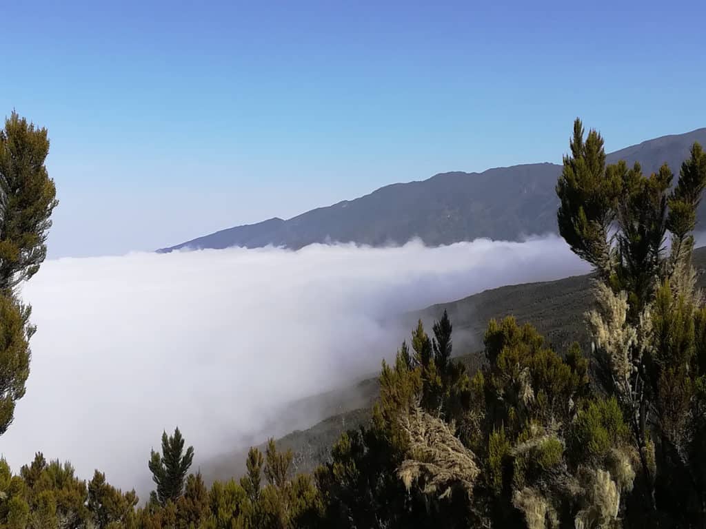 monte kilimangiaro salita sopra le nuvole