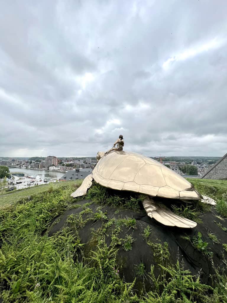 namur searching for utopia tartaruga