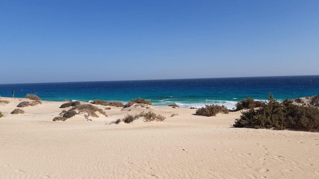 paesaggio dune Corralejo fuerteventura