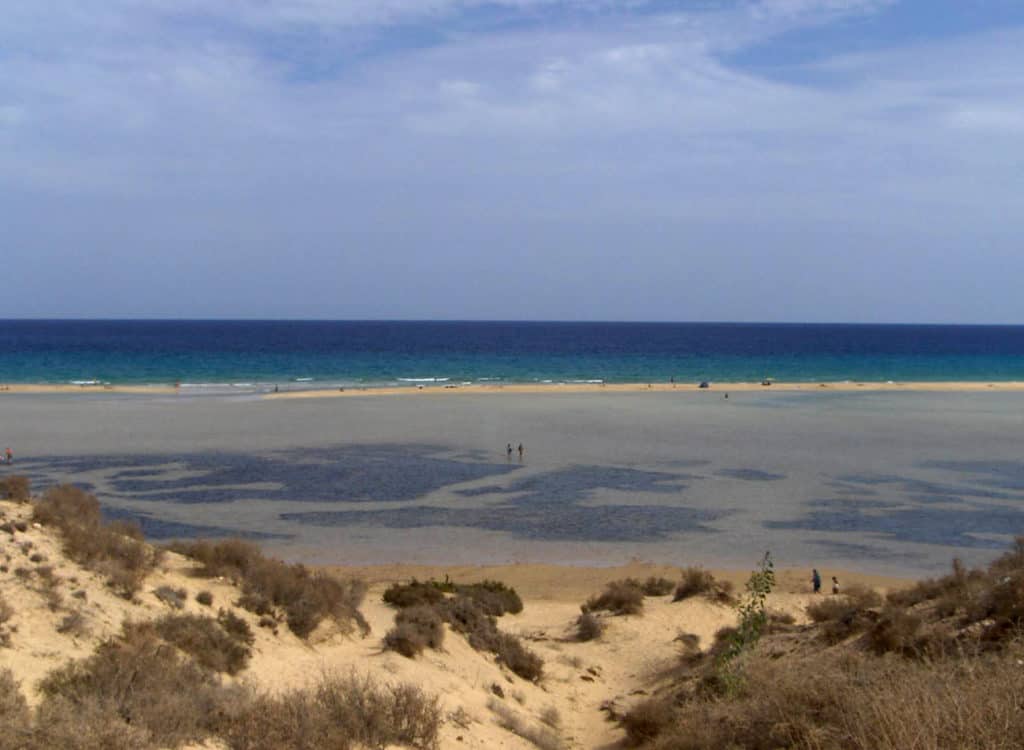 spiaggia di sotavento fuerteventura